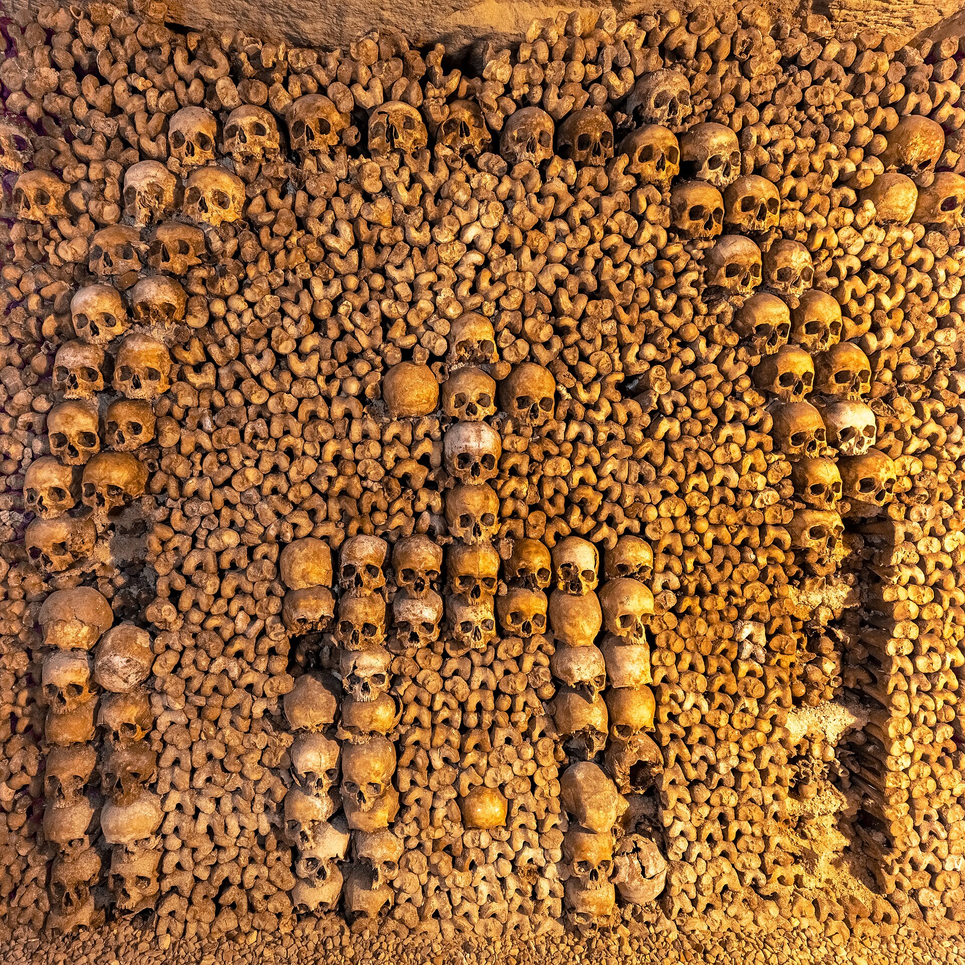Catacombs of Paris 1/1