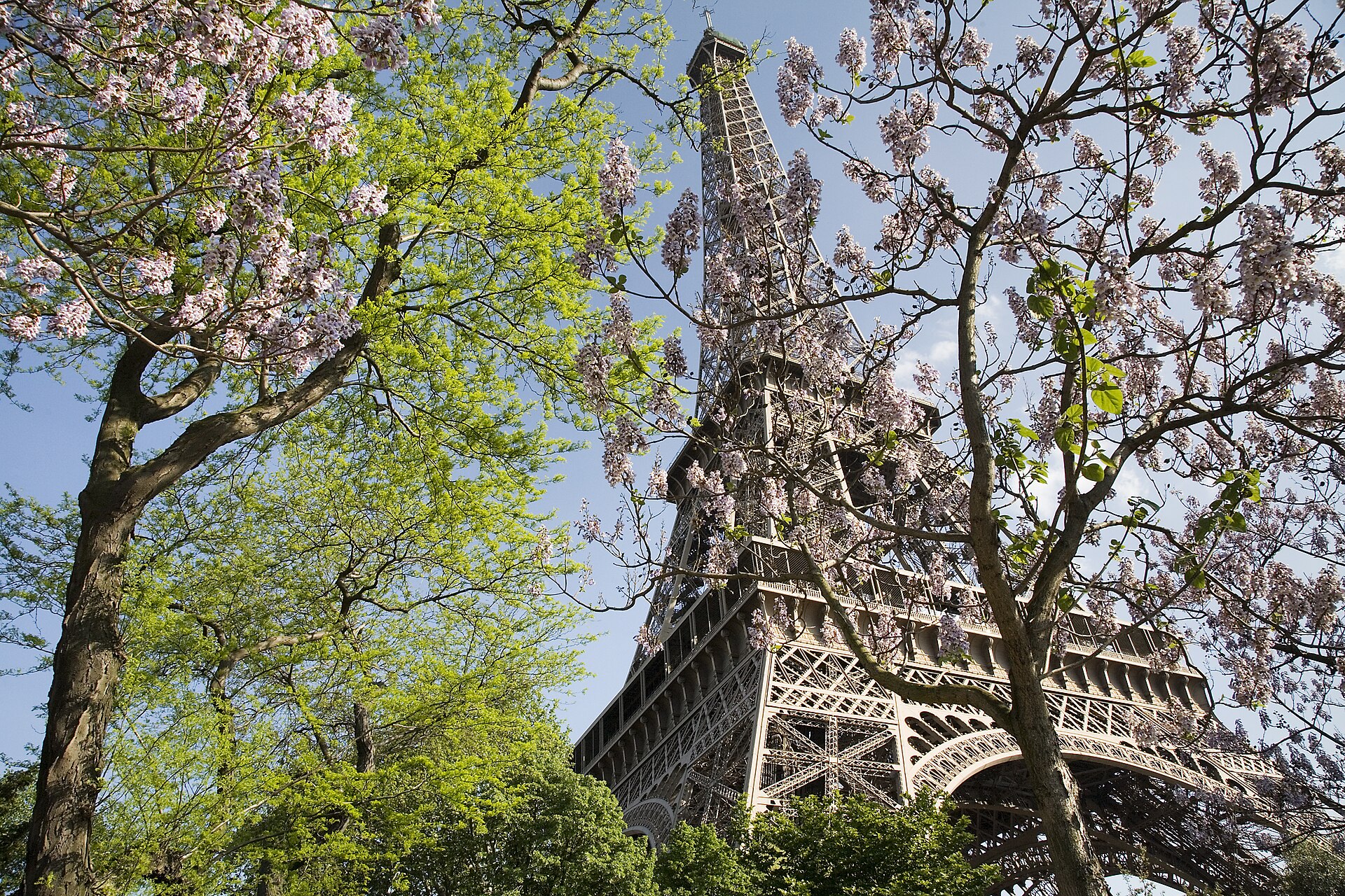 Eiffel Tower 1/1